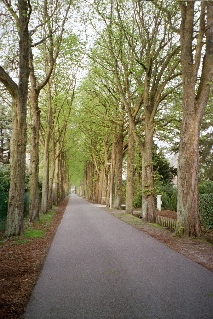 Belgian all&eacute;e (Somewhere in Kapellen)