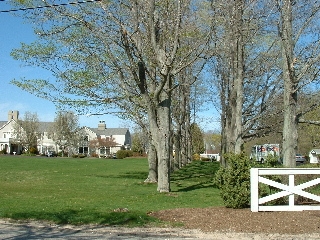 American all&eacute;e (Dreamwold, Scituate, Massachusetts)